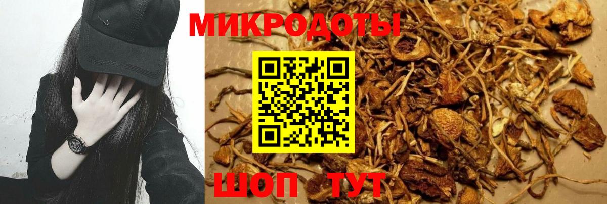 Псилоцибиновые грибы мицелий Северобайкальск