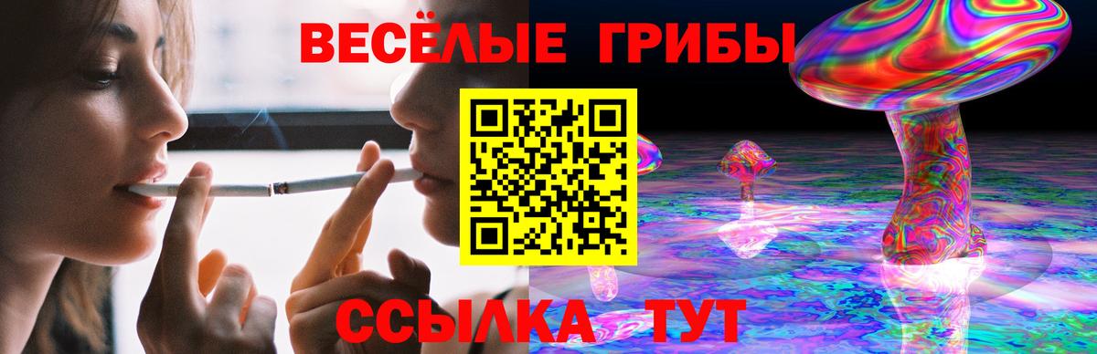 Северобайкальск  Псилоцибиновые грибы Cubensis  Вход с VPN 